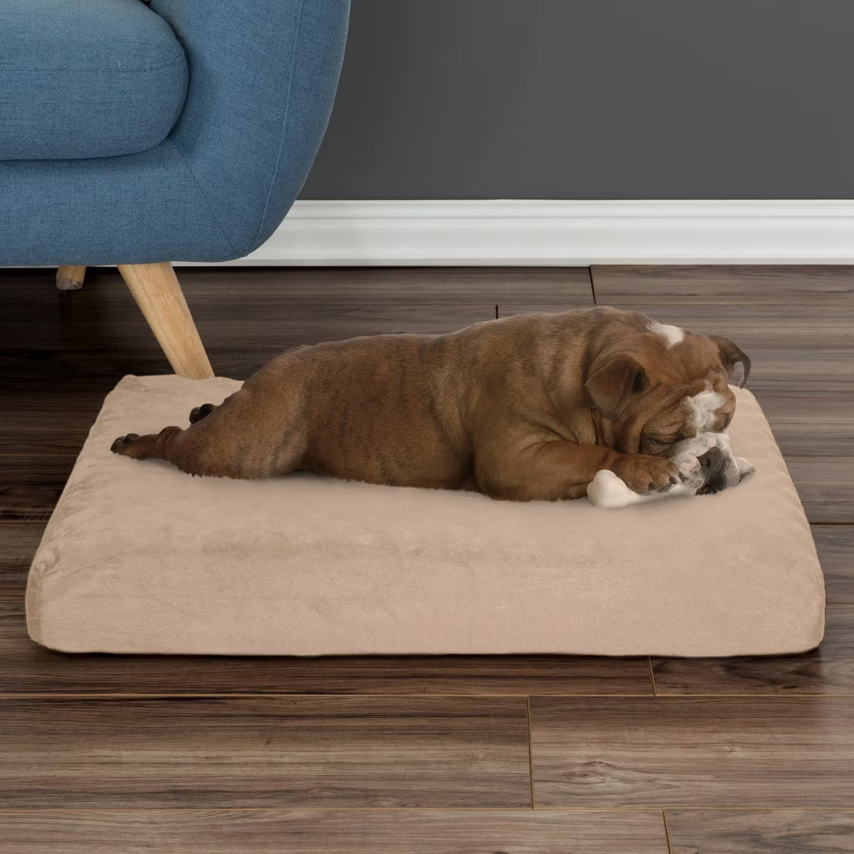 Orthopedic Memory Foam Dog Bed - Tan