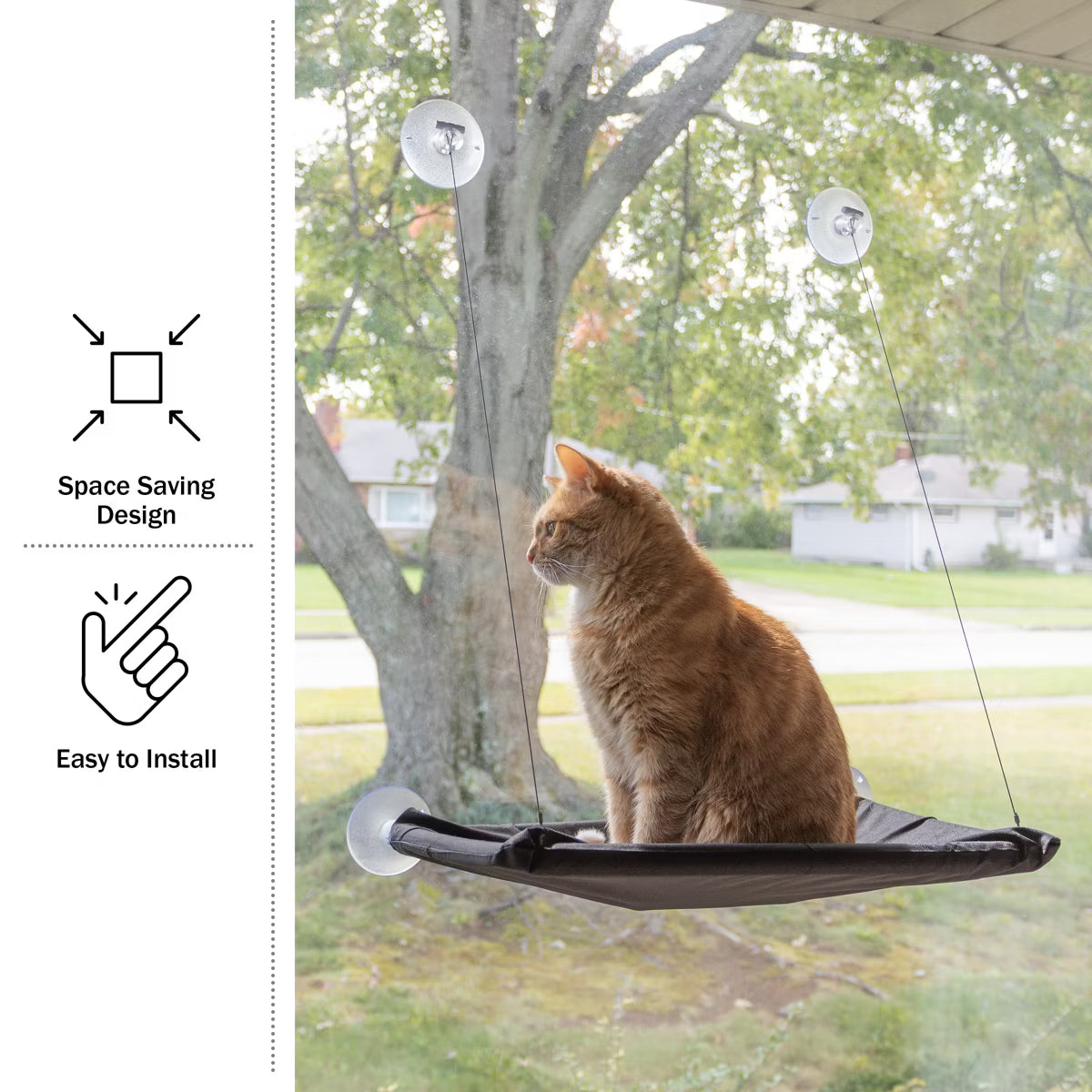 Cat Window Perch for Large Cats, Black