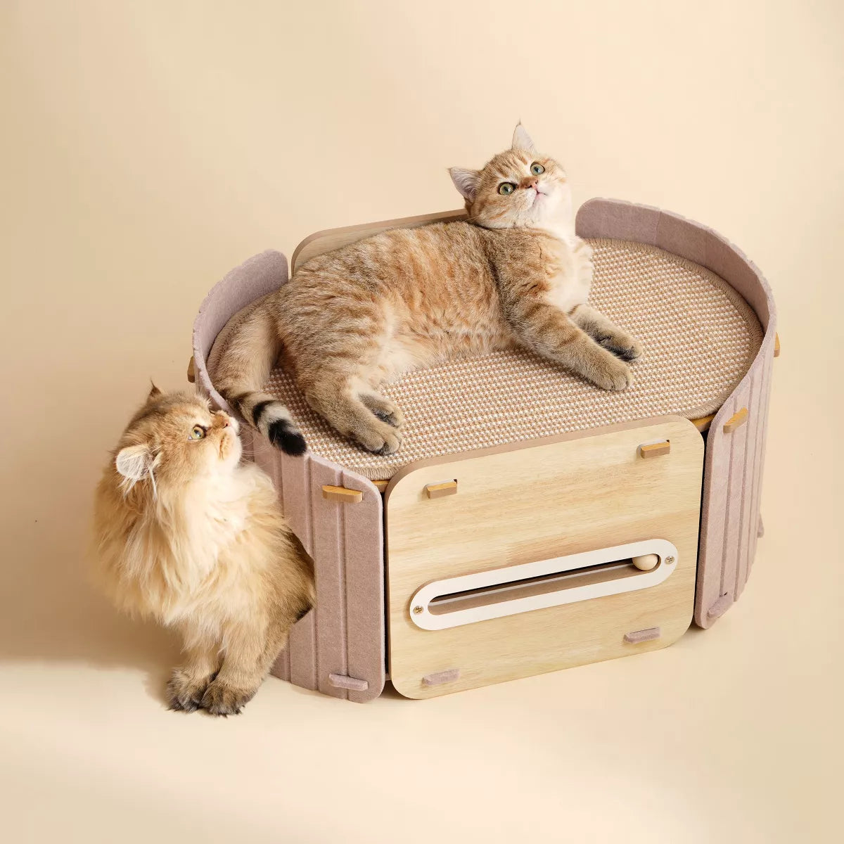 2-in-1 Modern Wooden Cat Condo Bed Beige