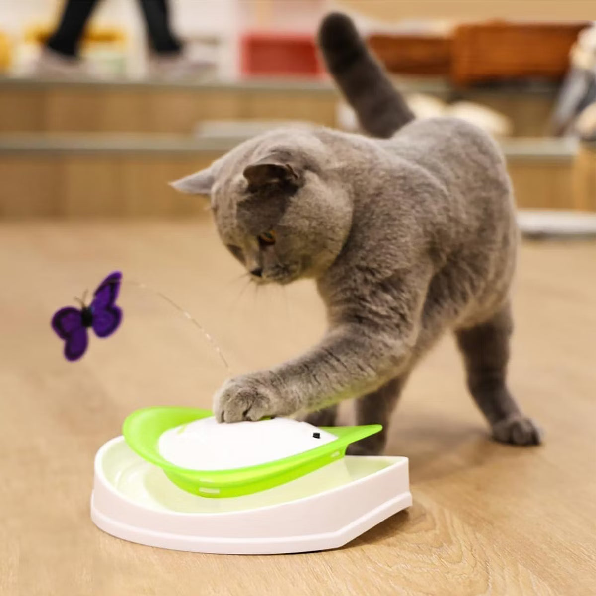 Interactive Cat Toy Roll Around Flutter Bug Cat Toys