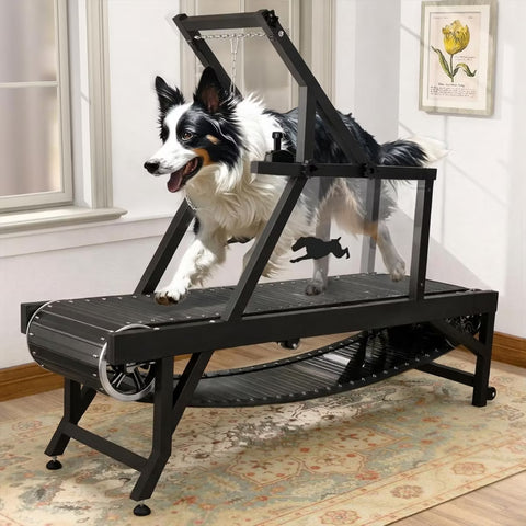 Dog Slat Mill Treadmill for Medium Dogs
