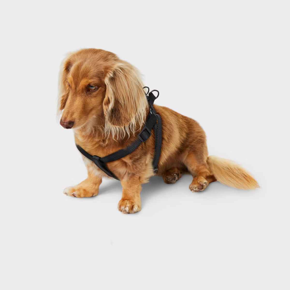 Basic Harness - Black - XS