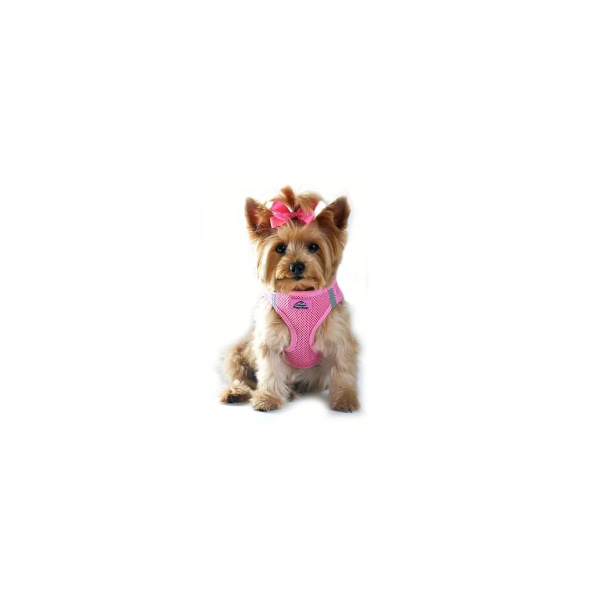 American River Choke Free Reflective Dog Harness, Pink, XXS