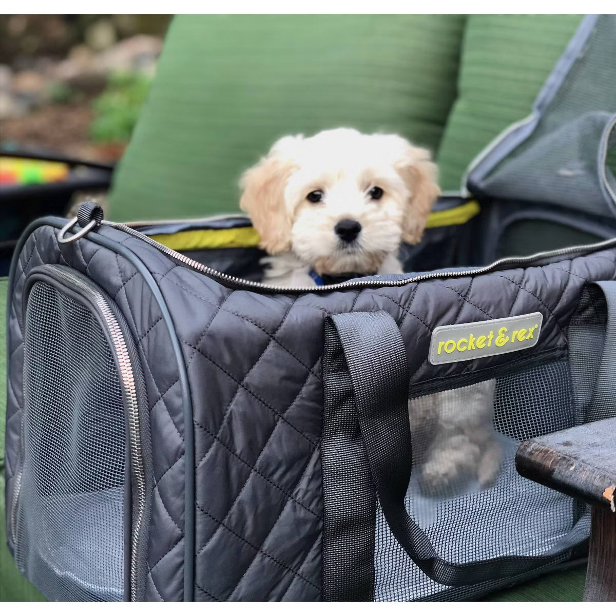 Small Cat and Dog Carrier
