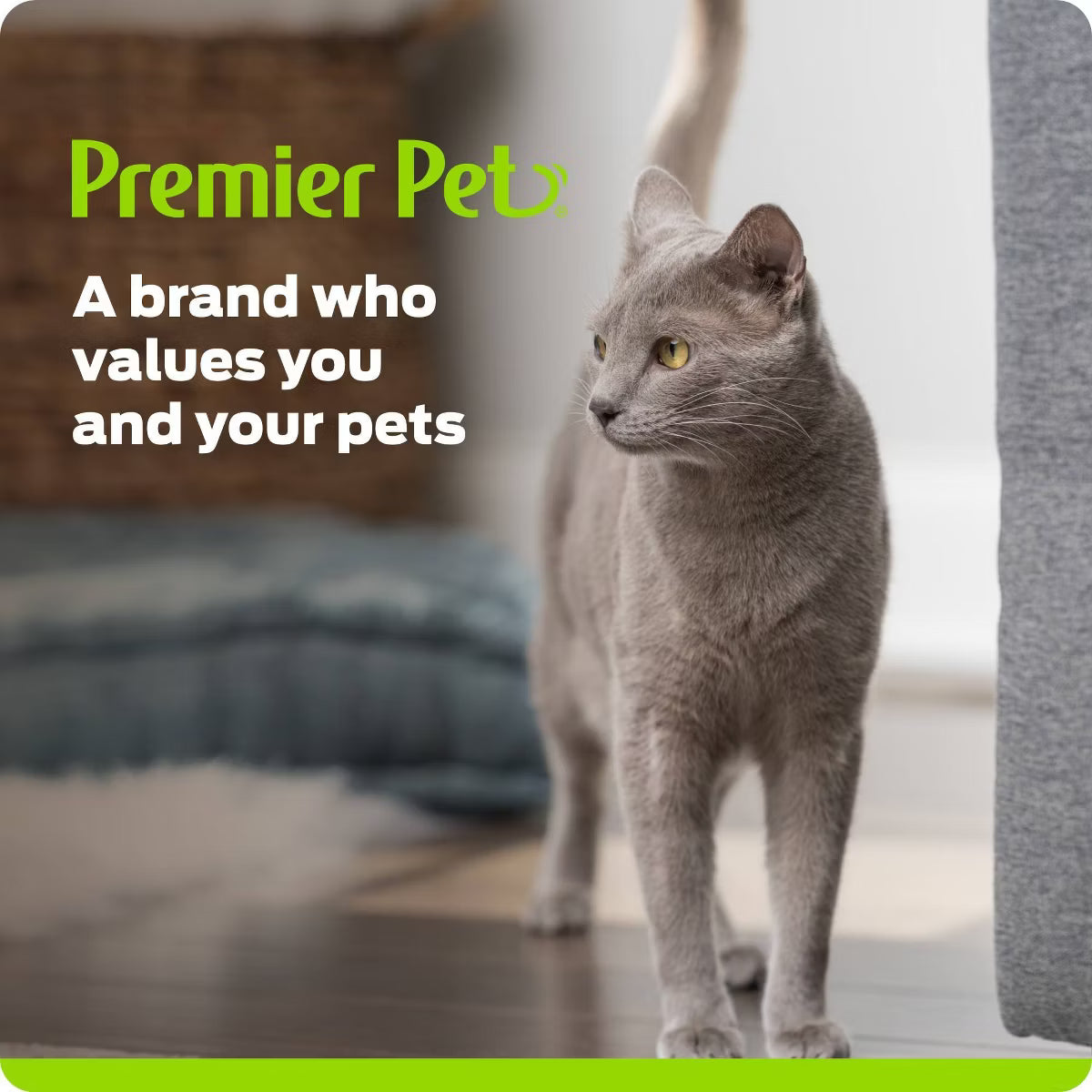 54oz Dog and Cat Automated Fountain - White