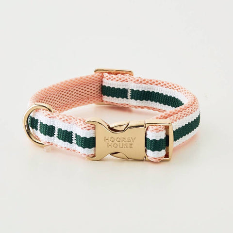 Mesh Dog Collar with Gold Buckle - Pink