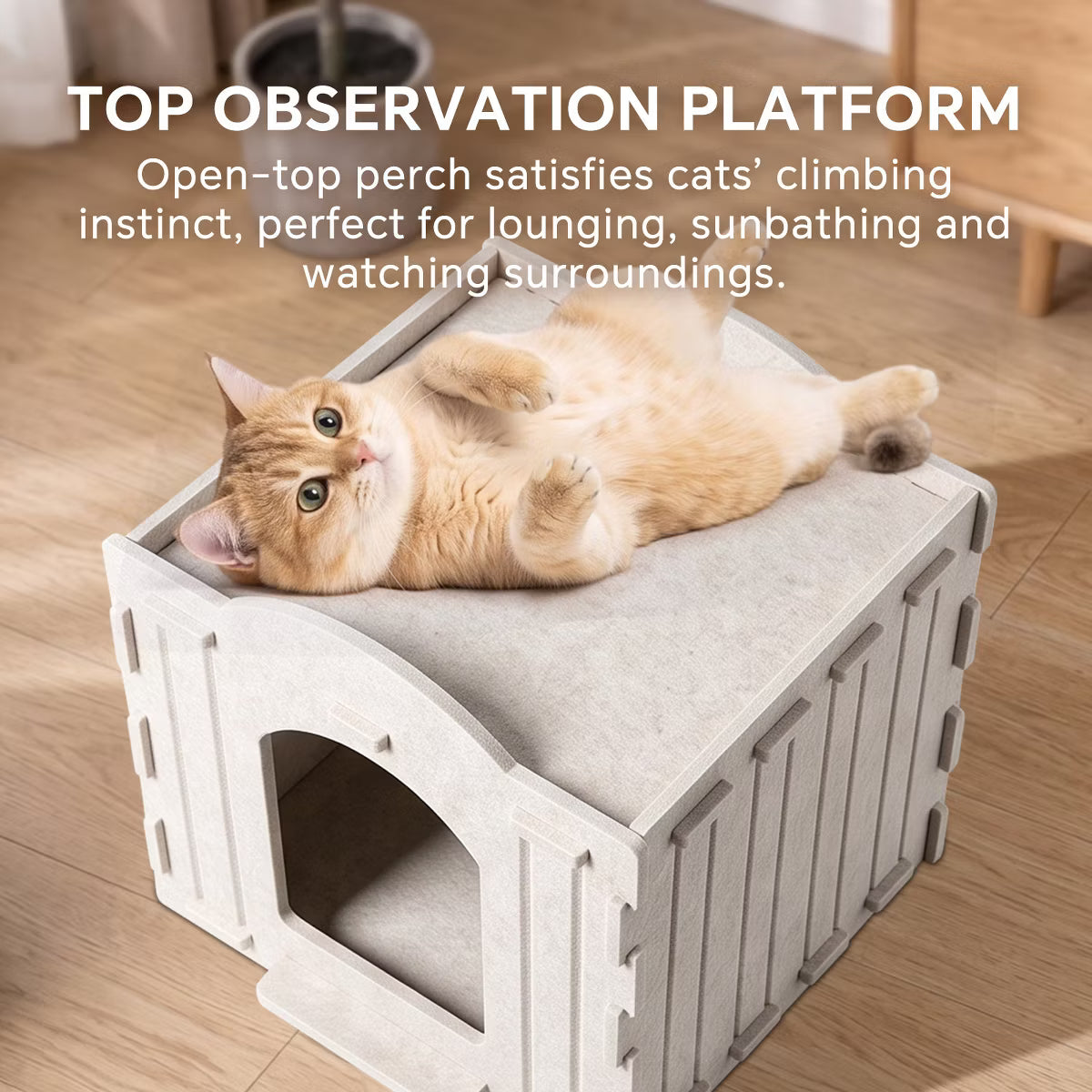 Foldable Felt Cat House Bed with Hanging Ball