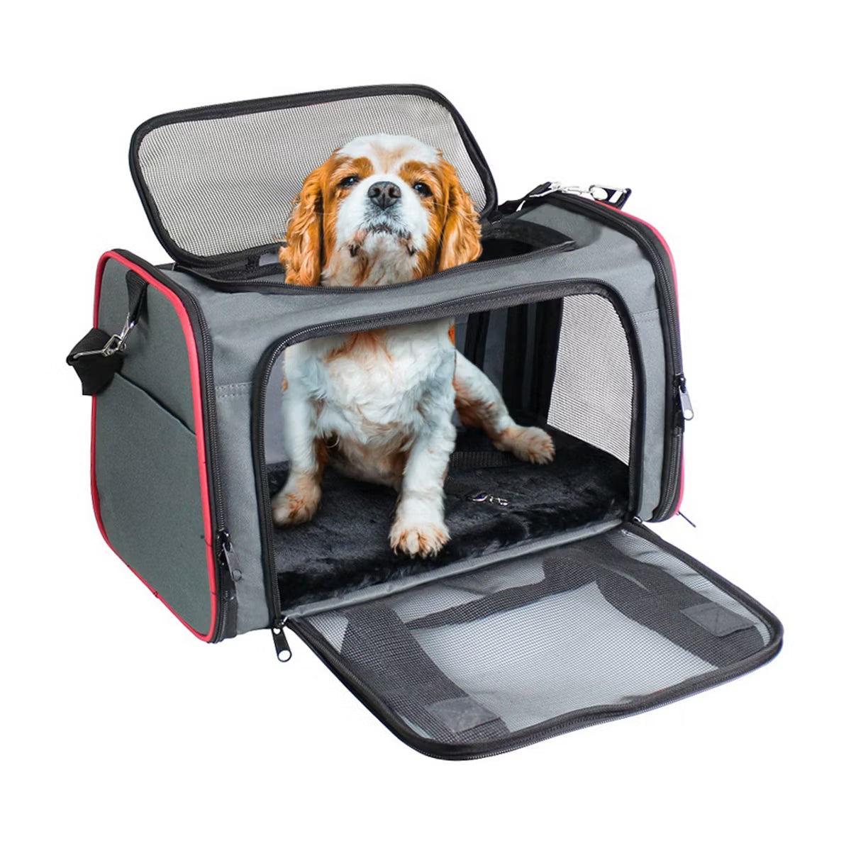 Soft Sided Travel Small Dog & Cat Carrier Bag
