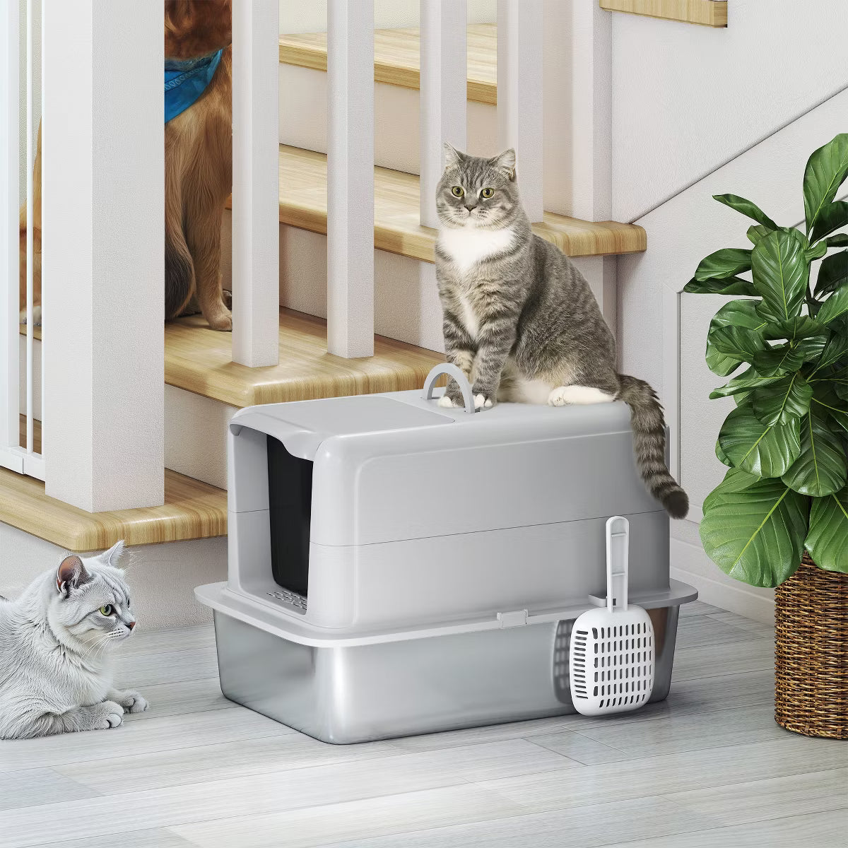 Stainless Steel Cat Litter Box, Extra Large 2 in 1 Kitty Litter Box with Removable Lid, Scoop,