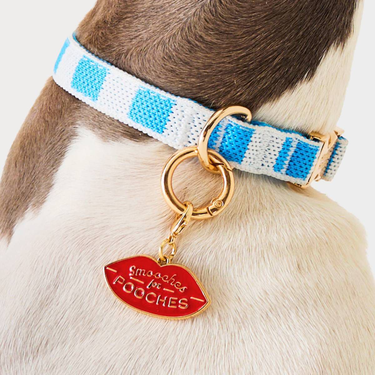 Collar Charm Martini