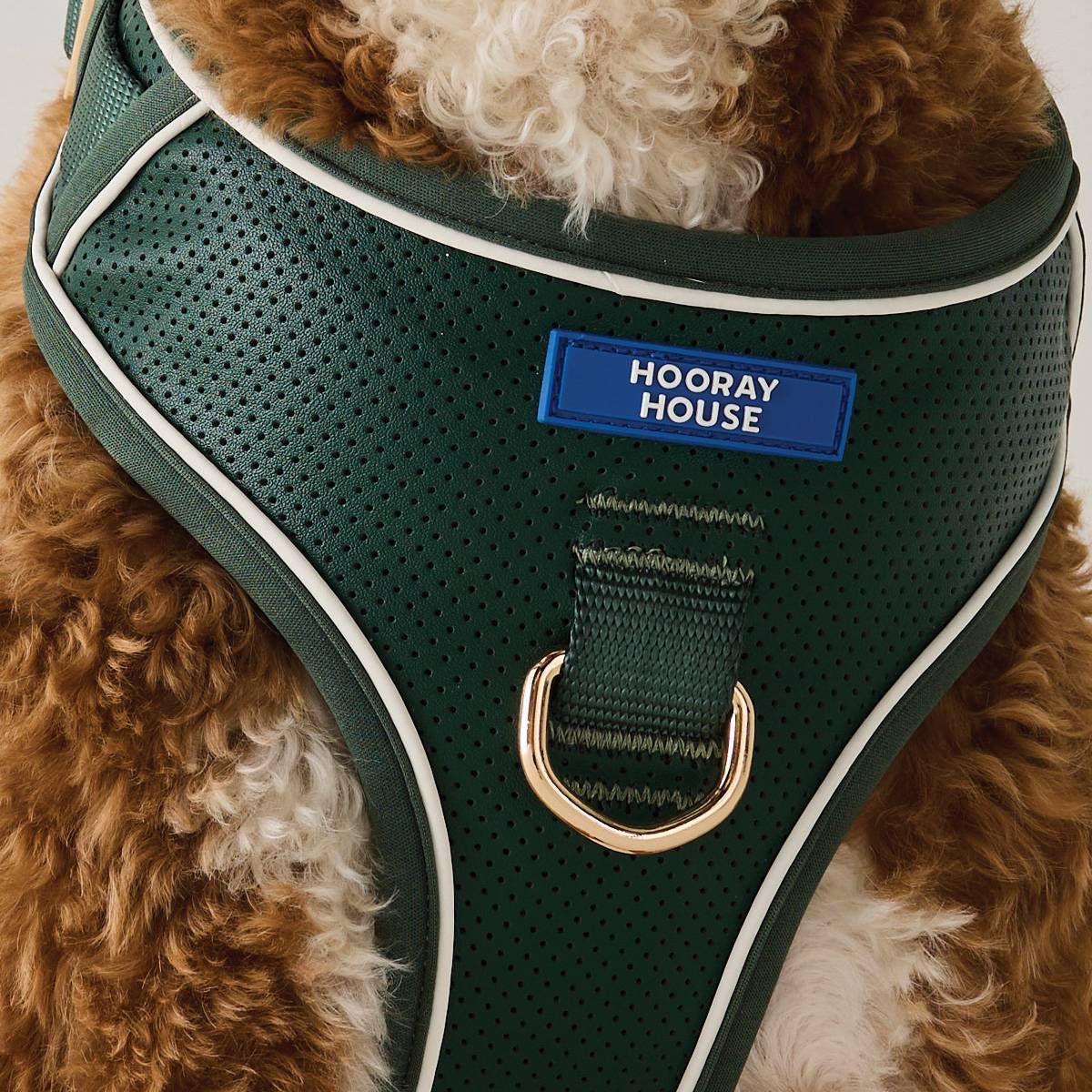 Moto Vegan Leather Dog Harness
