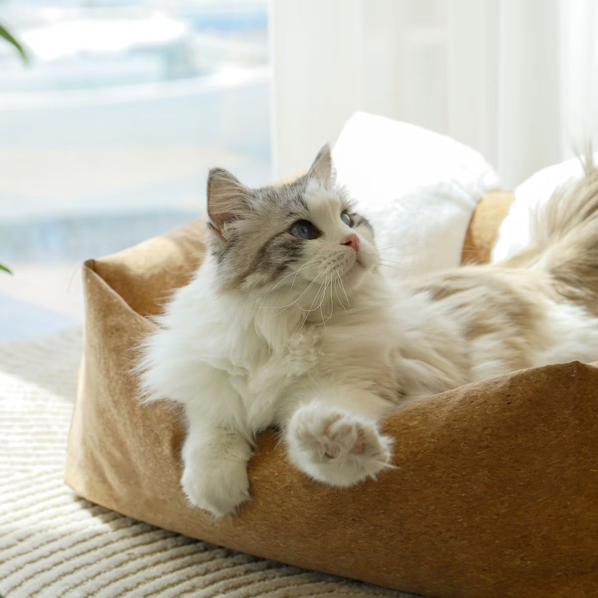 Anti-Fur Plush Cat Bed
