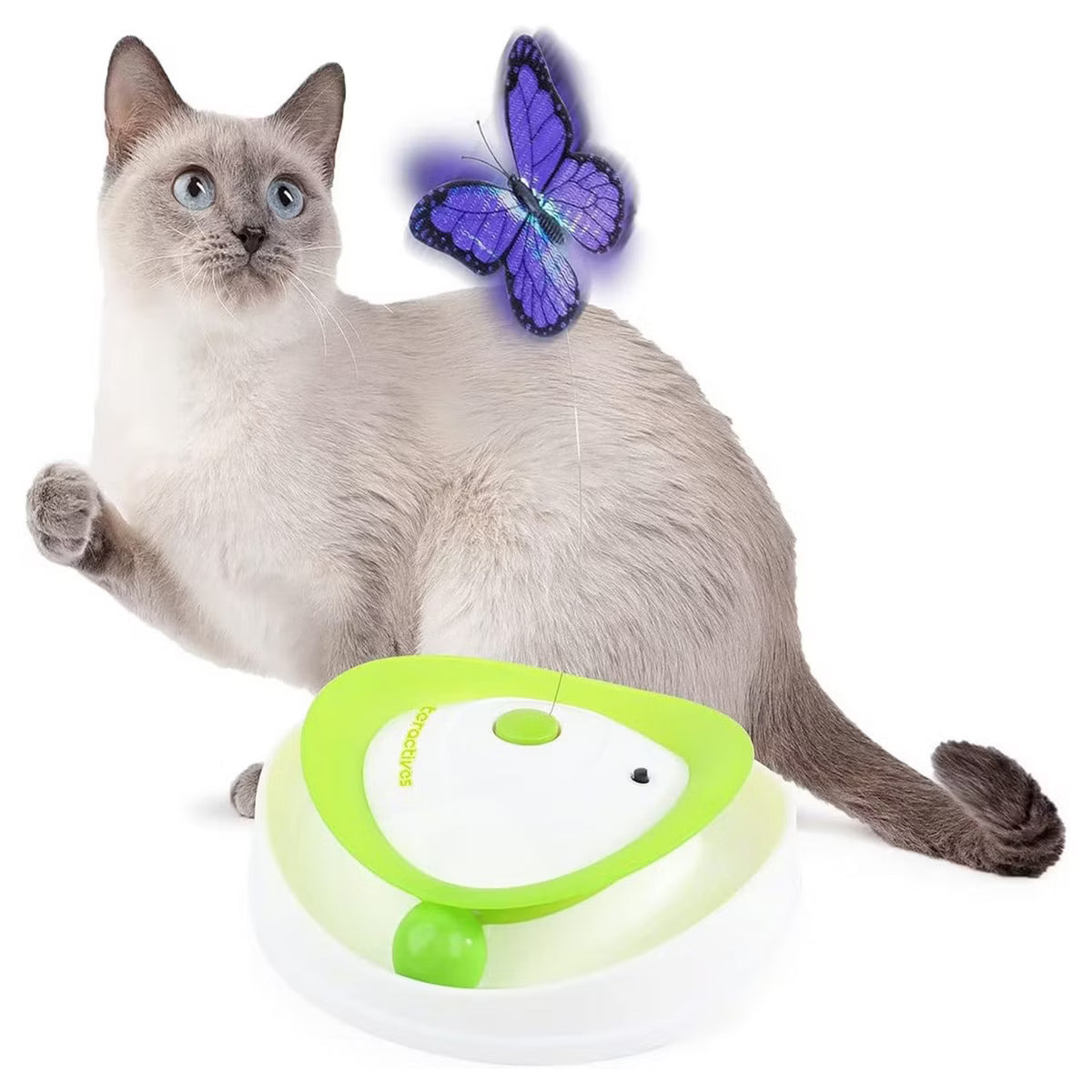 Interactive Cat Toy Roll Around Flutter Bug Cat Toys