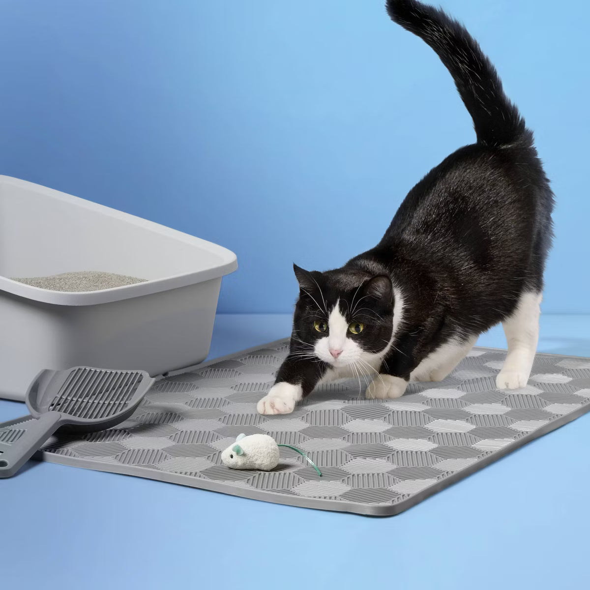 Litter Mat