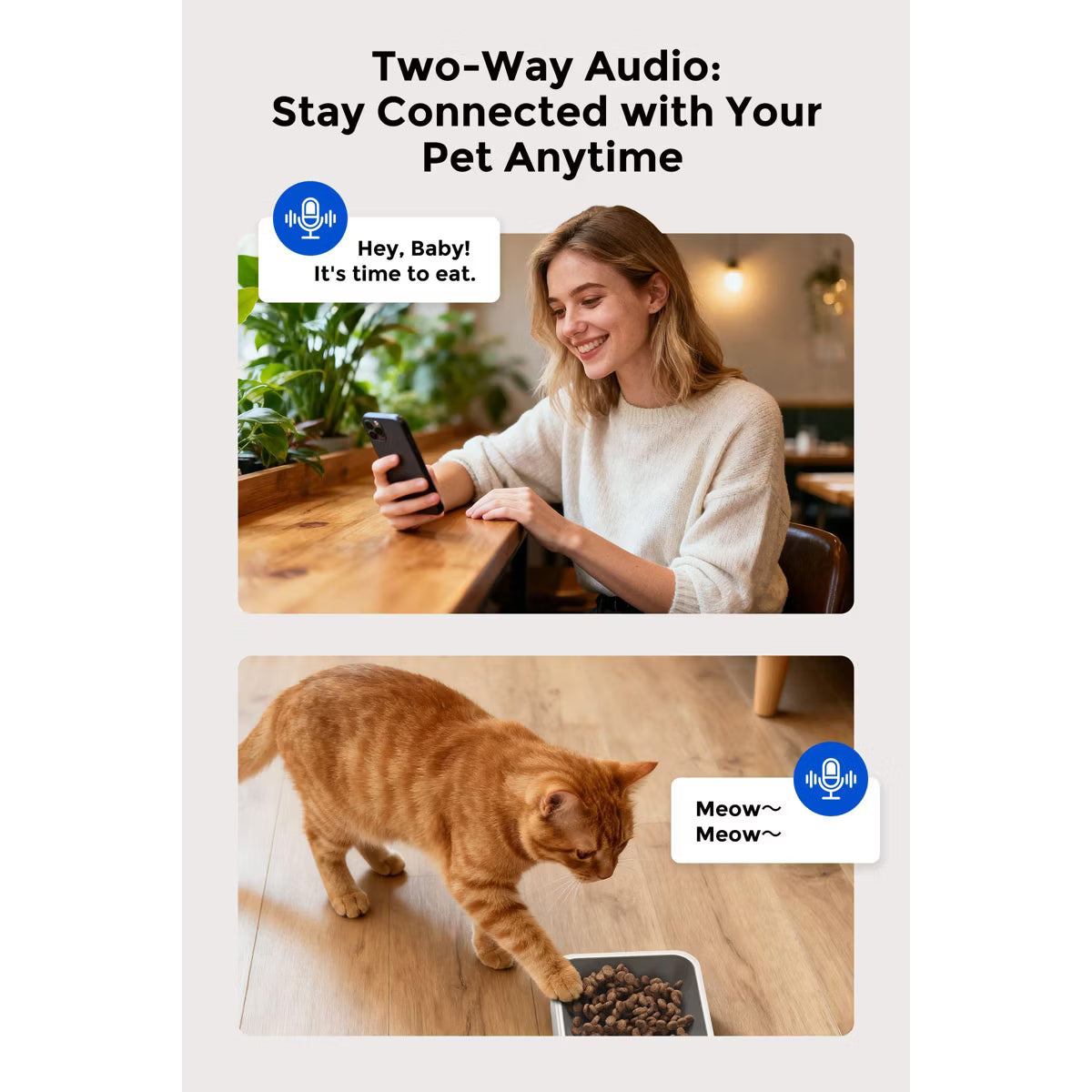 Automatic Cat Feeder with Camera & AI Subscription