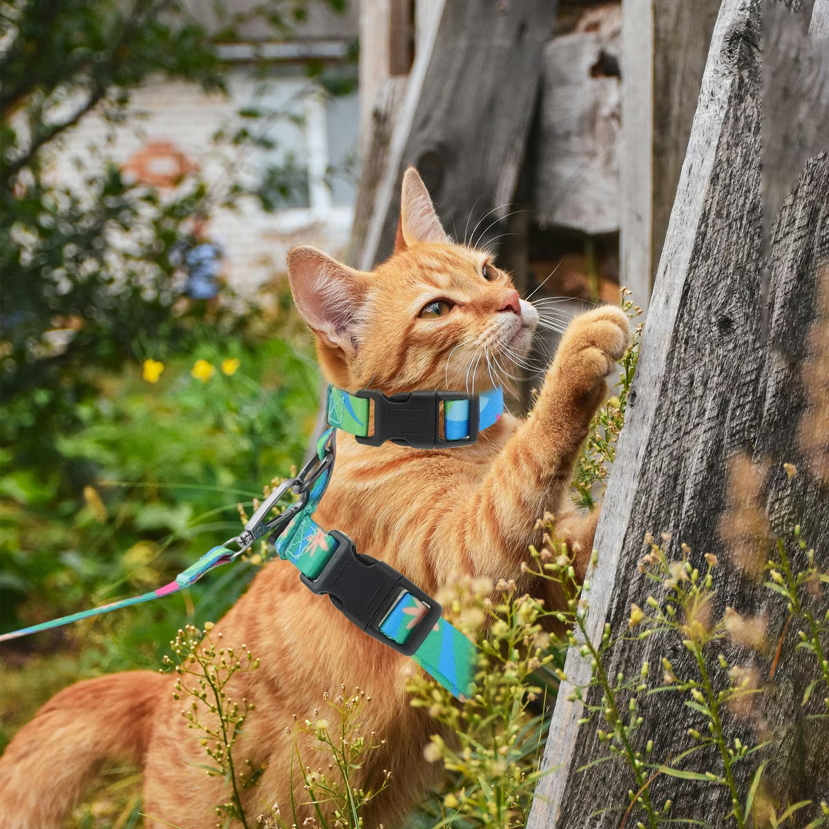 Escape Proof Lightweight Cat Harness