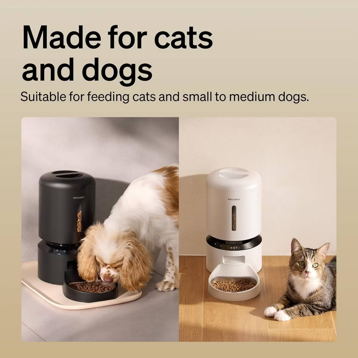 5L Dog and Cat Feeder with Granary Camera - White