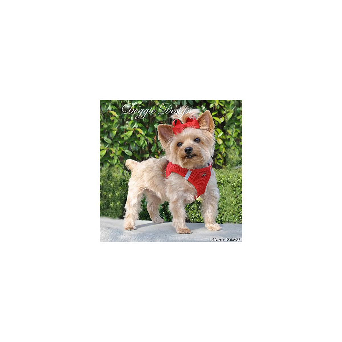 American River Choke Free Reflective Dog Harness, Red, Small