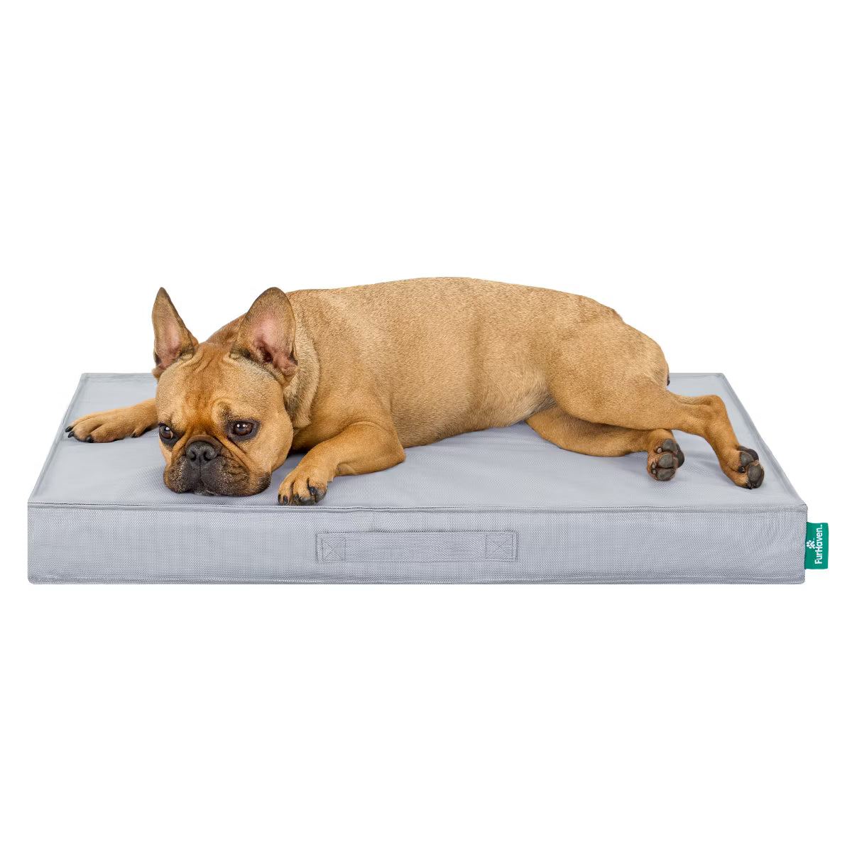 Medium Cooling Gel Dog Bed – Indoor/Outdoor Water