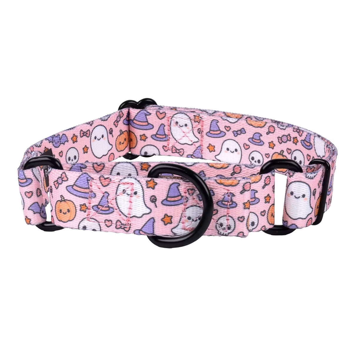 Boo Bash Martingale Dog Collar 5/8 Inch, Smal
