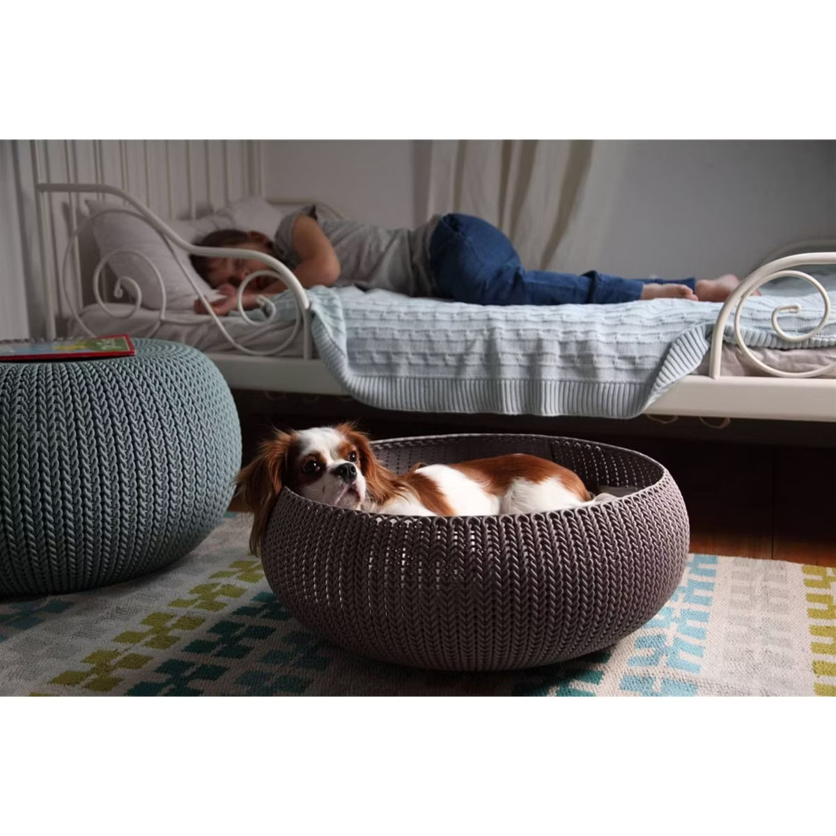 Cozy Resin Plastic Pet Bed with Cushion, Small Dogs to Medium Cats