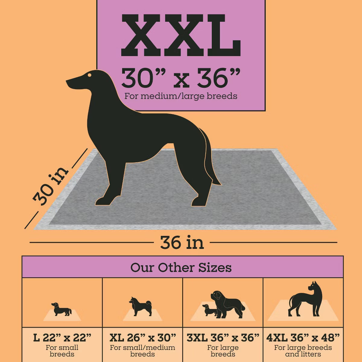 Controlling Training Pads with Charcoal for Dogs - XXL - 15ct