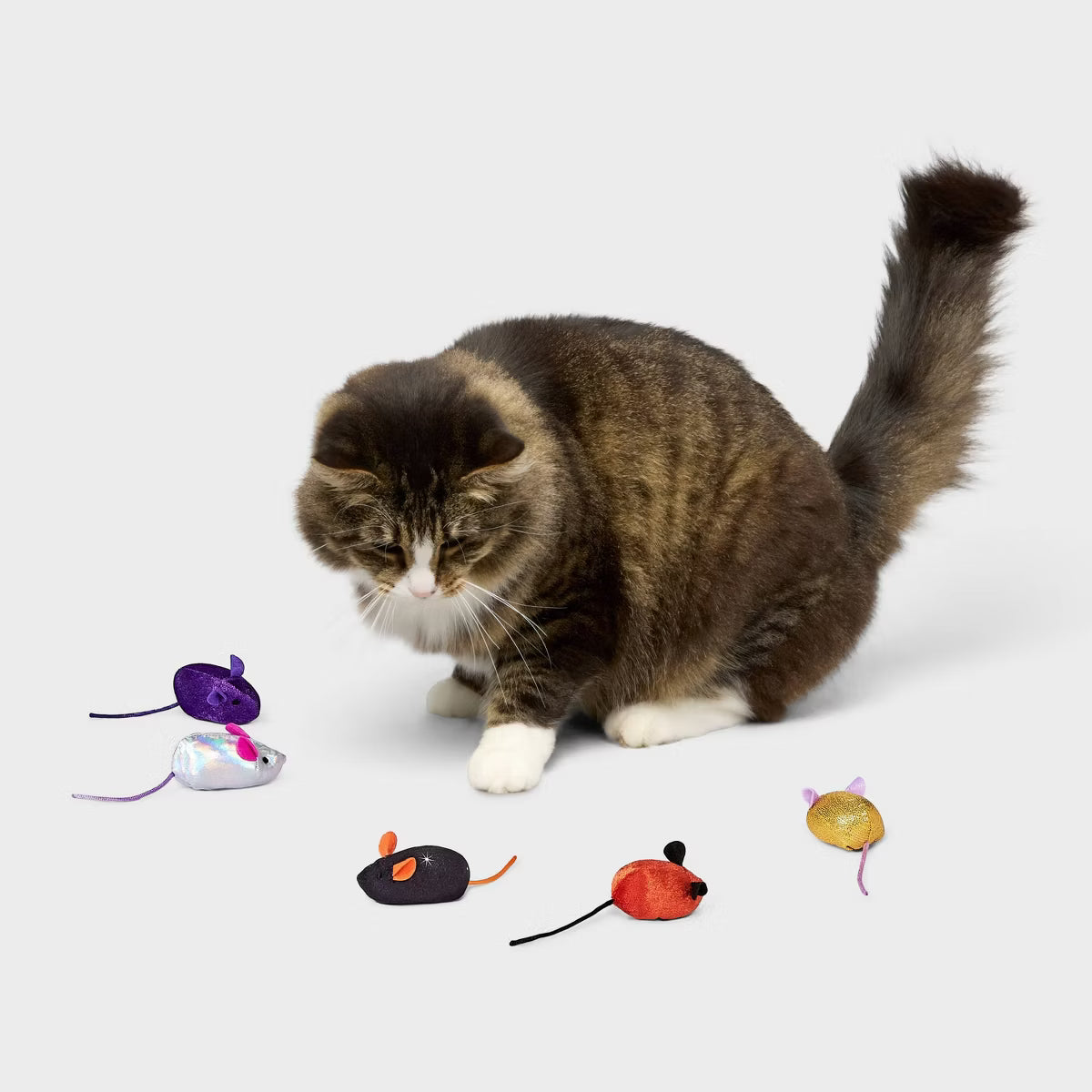 Mice Animal Cat Toy
