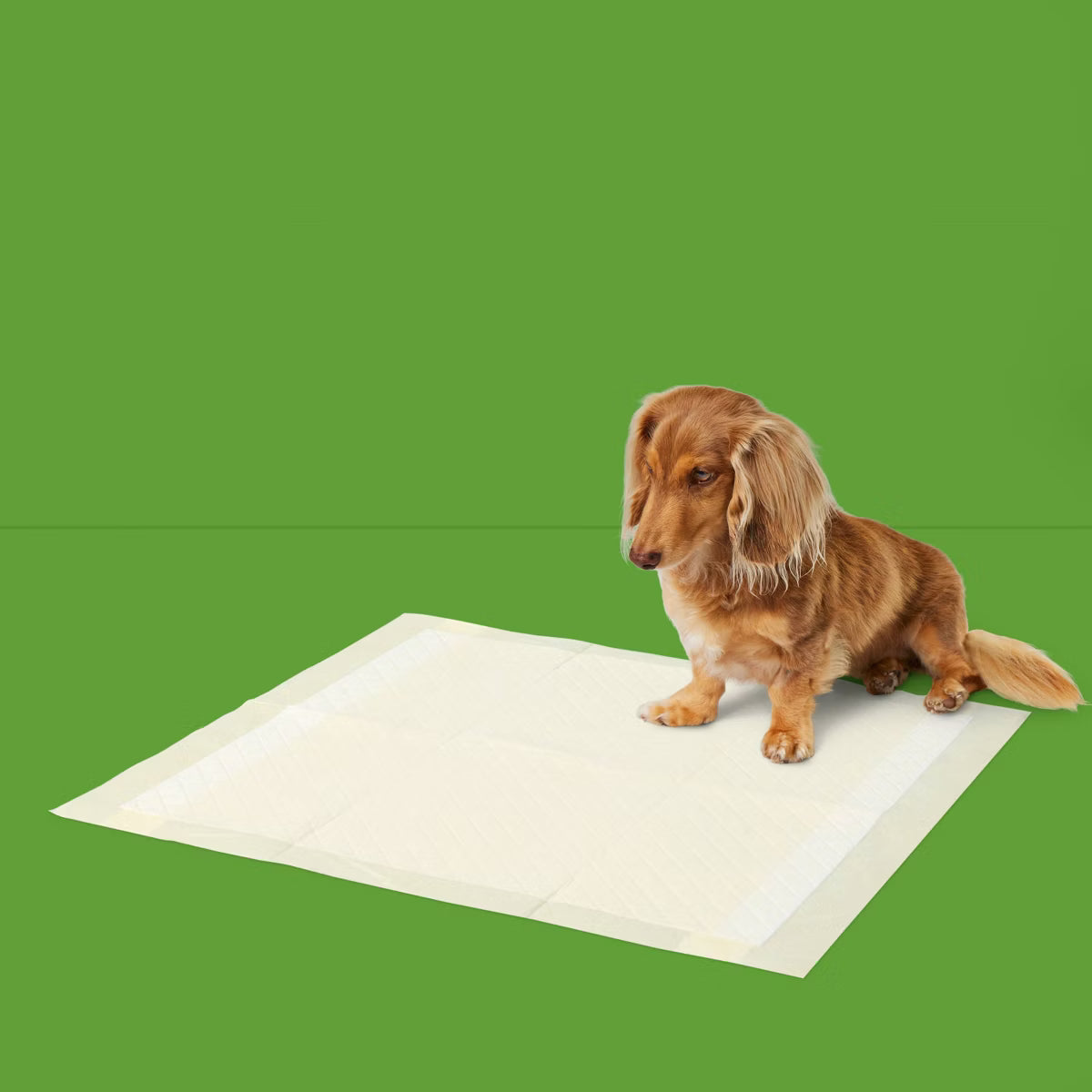 Eco Friendly Bamboo Dog Training Pads - 50ct