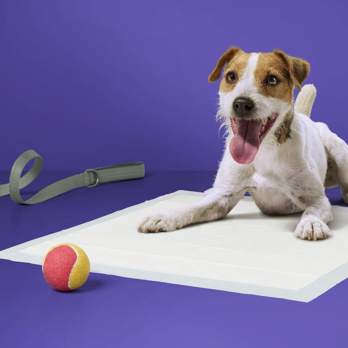 Puppy and Adult Dog Extra Absorbency Heavy Duty Training Pads - L