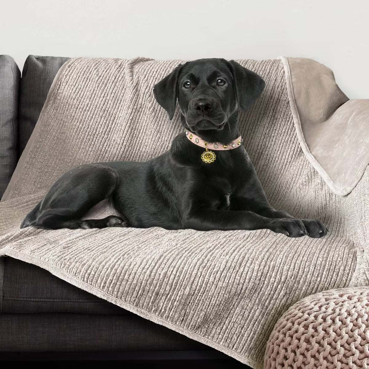 Waterproof Soft Plush Reversible Furniture
