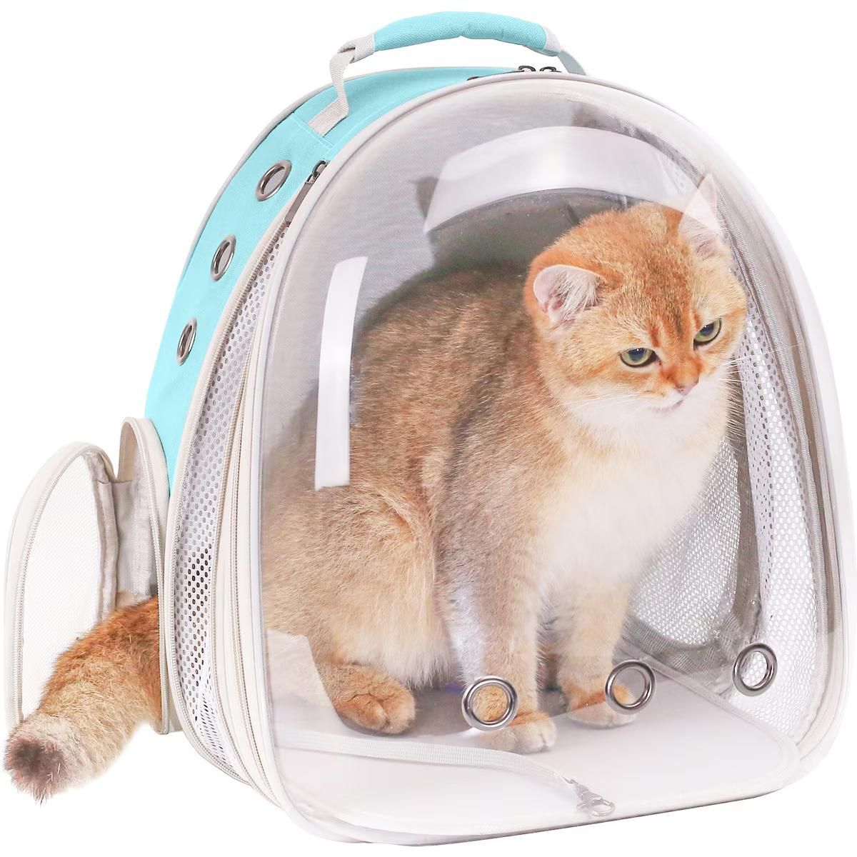 Bubble Cat Backpack Carrier  Green