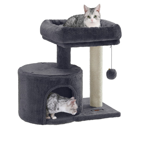 Cat Essentials