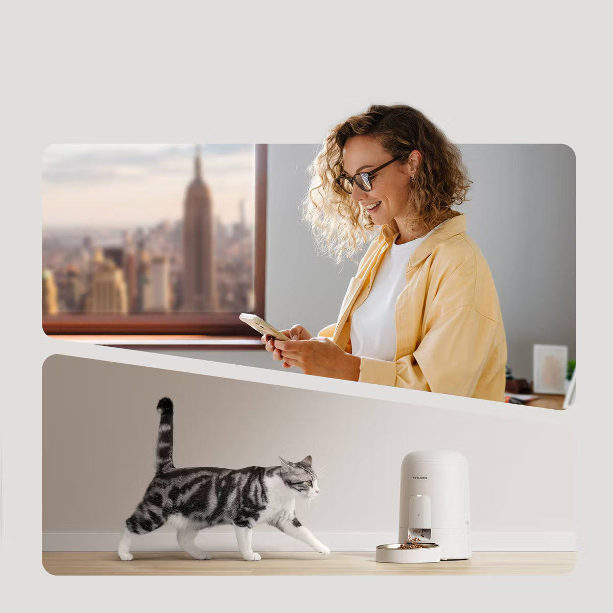 2L Wire Free Air Automatic WiFi Cat and Dog Automated Feeder
