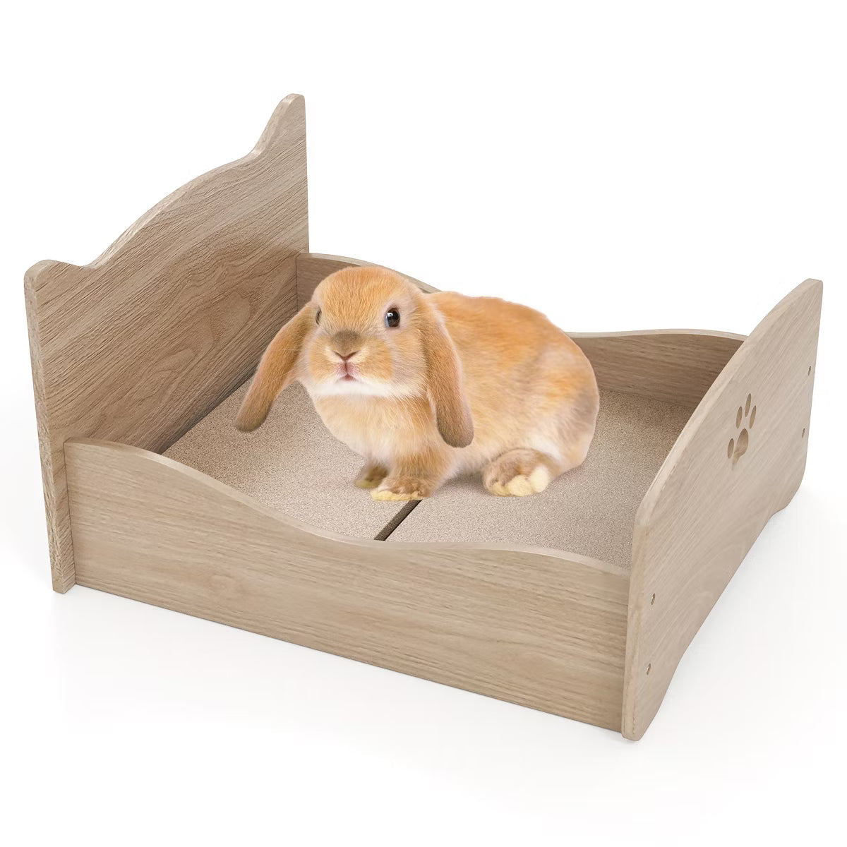 levated Pet Bed Frame Indoor Large Cat Bed