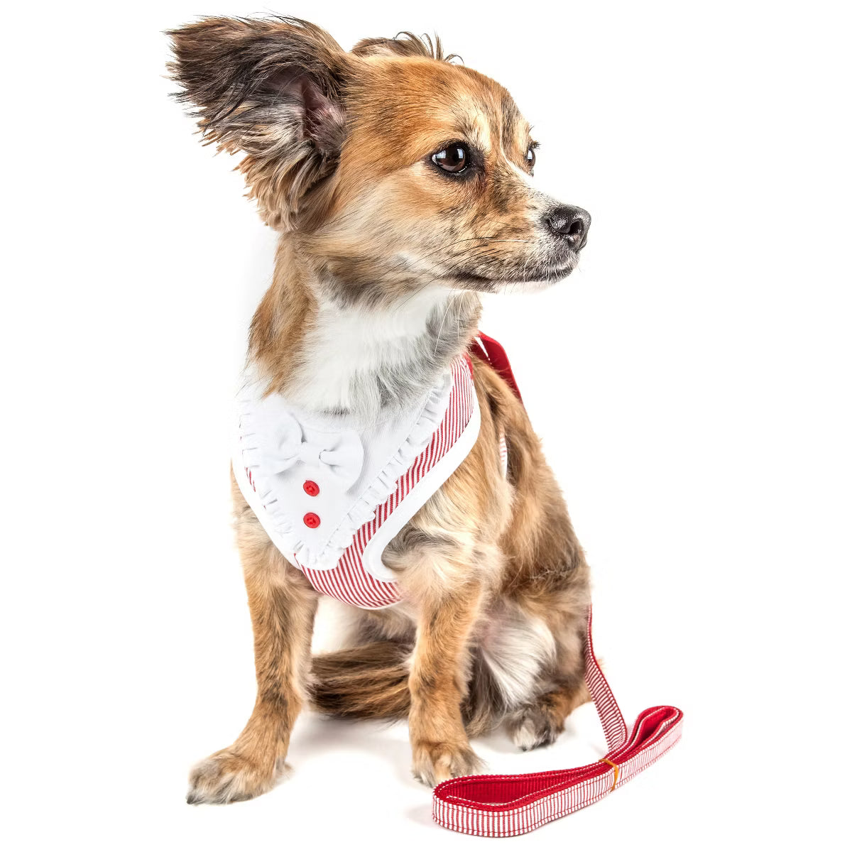Luxe Spawling 2-In-1 Adjustable Fashion Dog Harness and Leash,