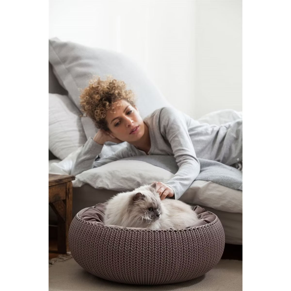 Cozy Resin Plastic Pet Bed with Cushion, Small Dogs to Medium Cats