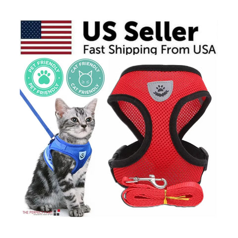Reflective Adjustable Pet Vest Harness & Leash Set for Cats & Dogs S M L XL