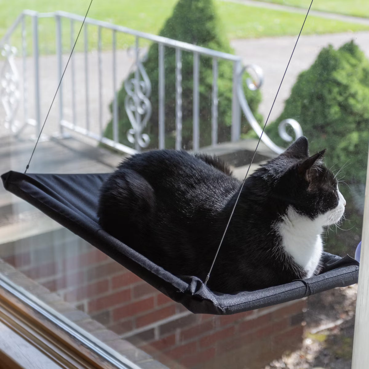 Cat Window Perch for Large Cats, Black