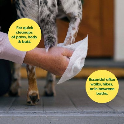 Earth Rated 100-count dog grooming wipes in unscented - image 3