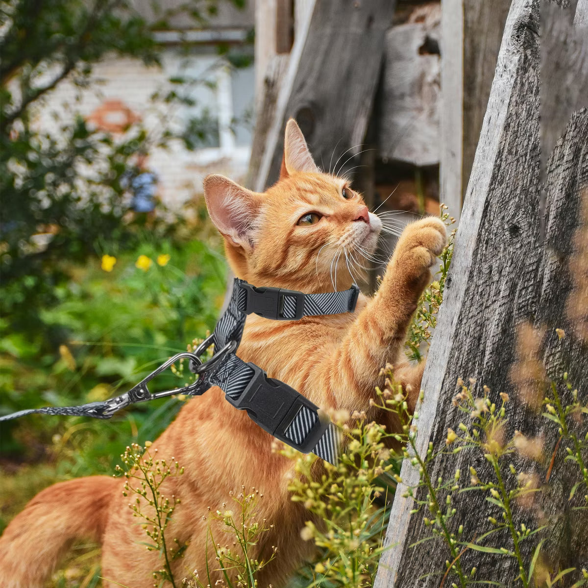 Escape Proof Lightweight Cat Harness Gray