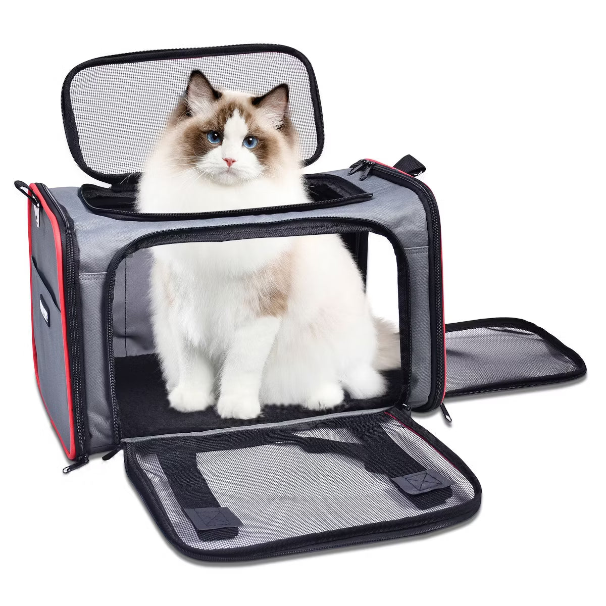 Soft-Sided Travel Small Dog & Cat Carrier Bag