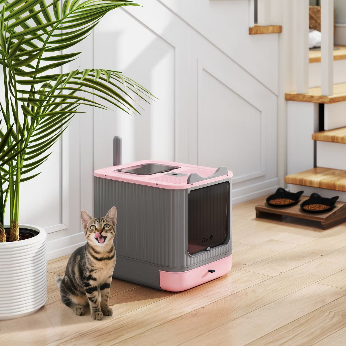 Cat Litter Box with Lid, Enclosed Litter Box for Medium Cats