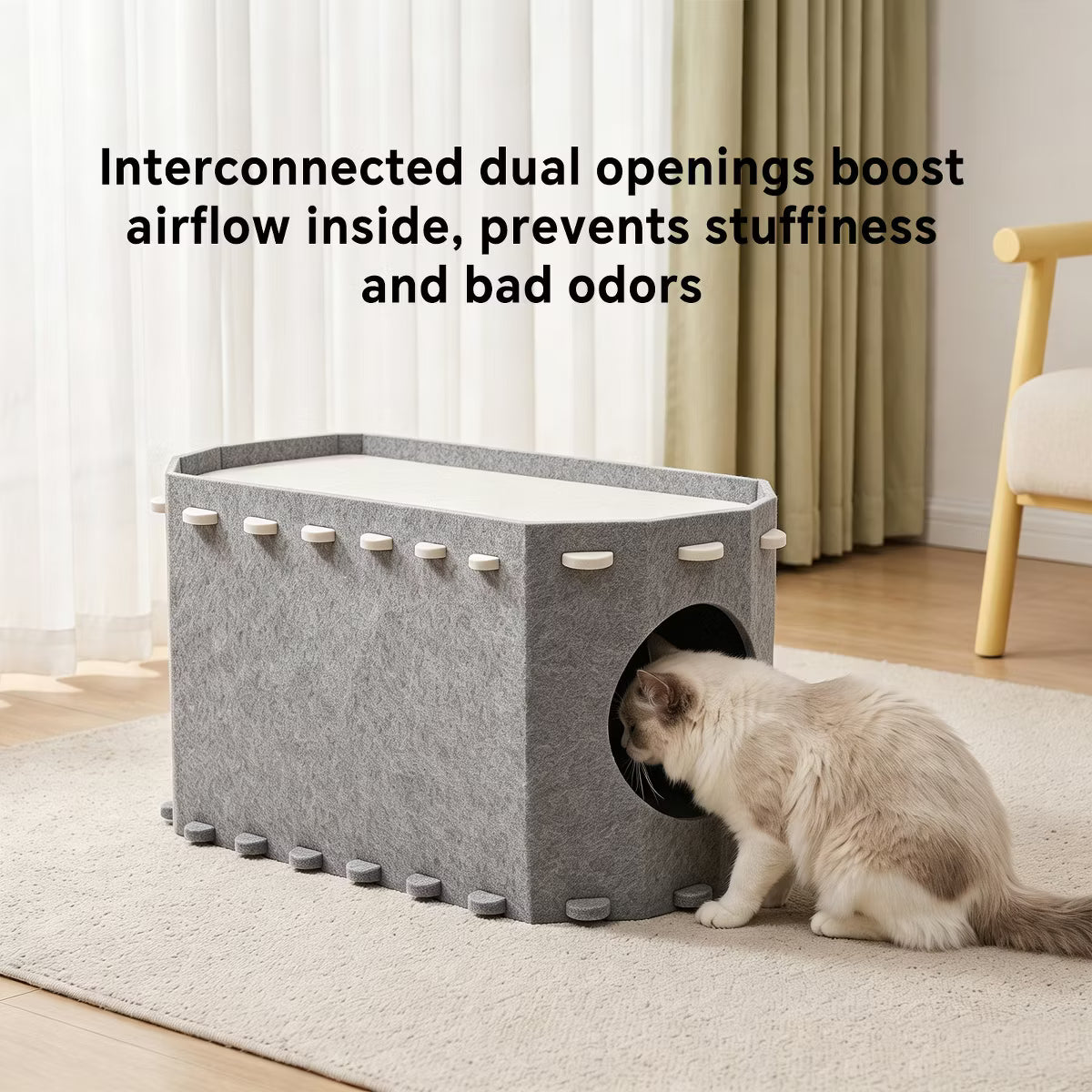 Cat House for Indoor Cats