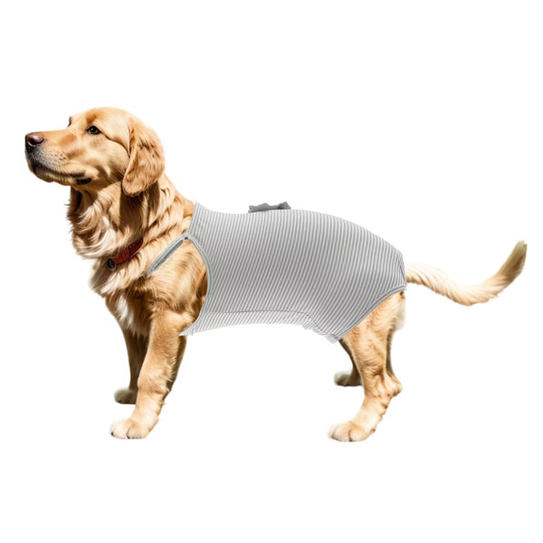 Washable Dog Diapers Large Gray 1 Pc