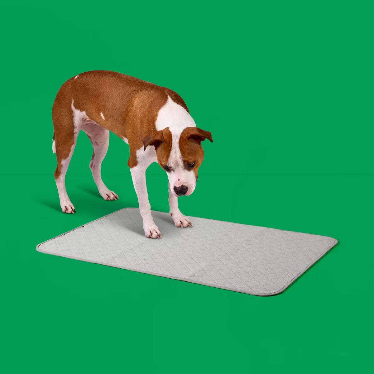 Washable Dog Training Pads - 2ct