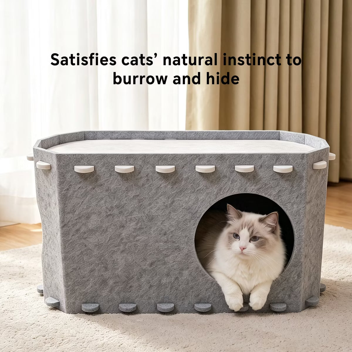 Cat House for Indoor Cats