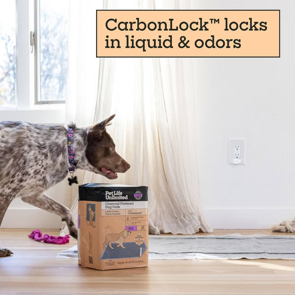 Controlling Training Pads with Charcoal for Dogs - XXL - 15ct