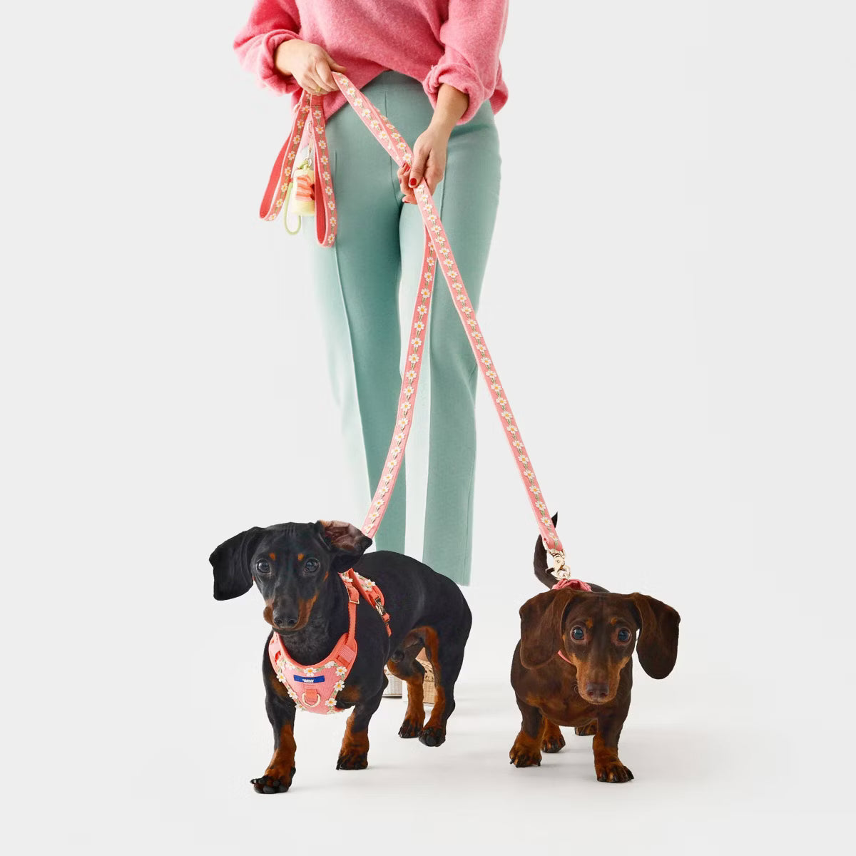 Daisy Dog Harness