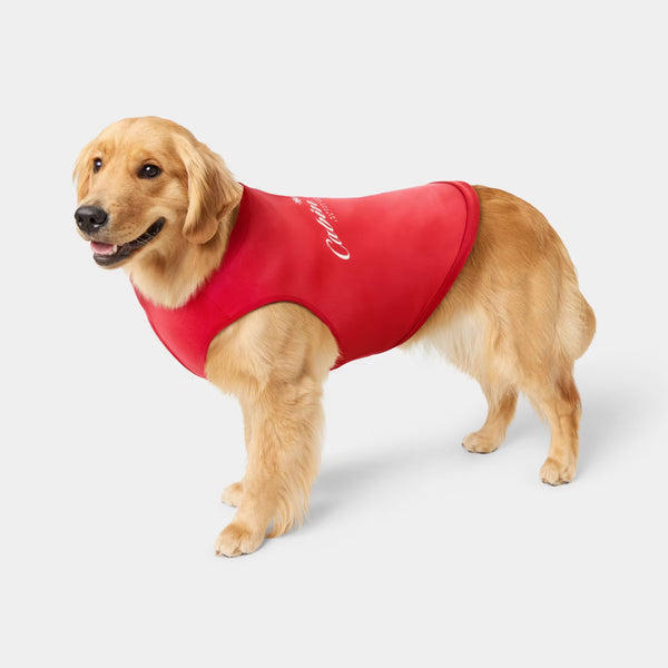 Cabin Crew Dog Sweatshirt XXL