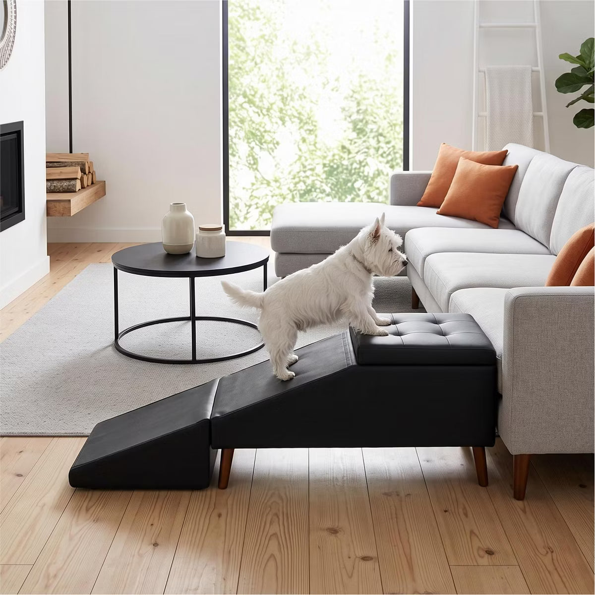 Pawridge 2-in-1 Split Foldable Pet Ramp Ottoman with Storage